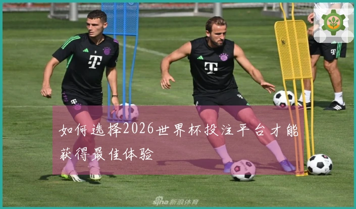 如何选择2026世界杯投注平台才能获得最佳体验
