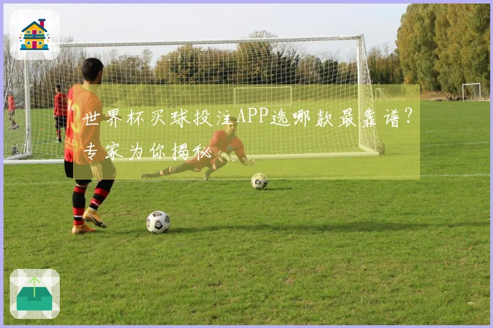 世界杯买球投注APP选哪款最靠谱？专家为你揭秘