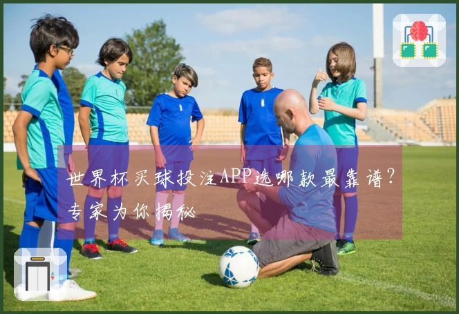 世界杯买球投注APP选哪款最靠谱？专家为你揭秘