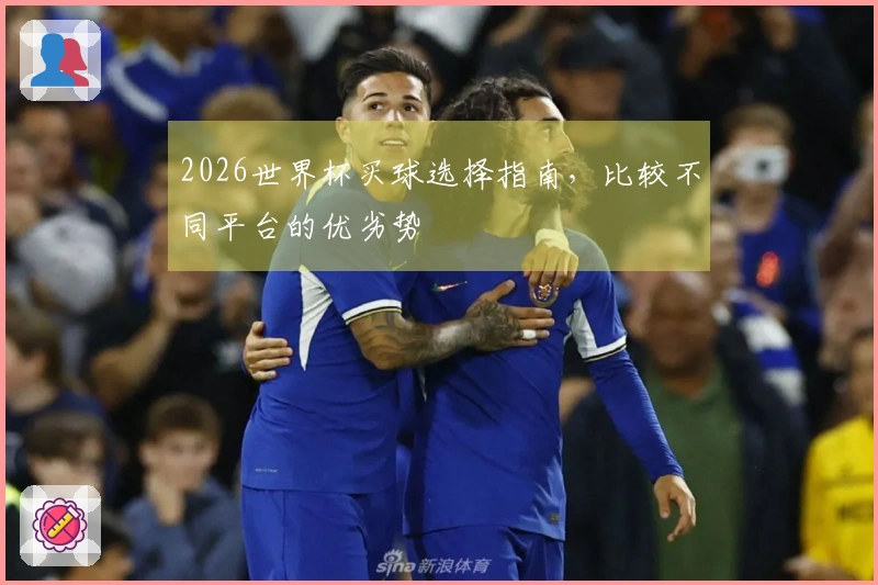 2026世界杯买球选择指南，比较不同平台的优劣势