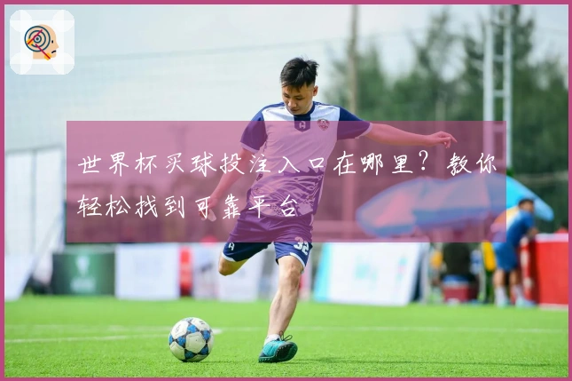 世界杯买球投注入口在哪里？教你轻松找到可靠平台