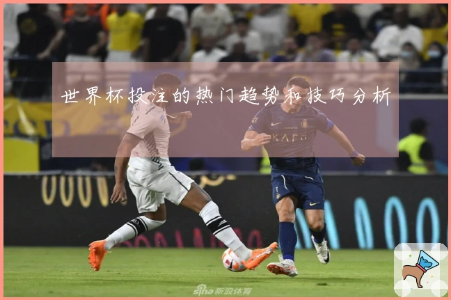 世界杯投注的热门趋势和技巧分析