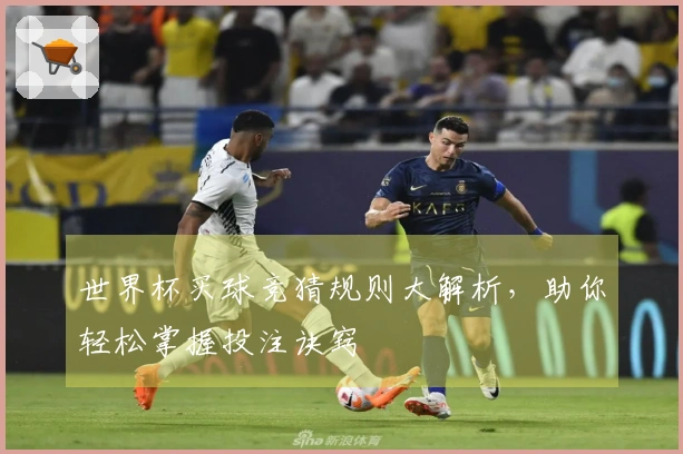 世界杯买球竞猜规则大解析，助你轻松掌握投注诀窍
