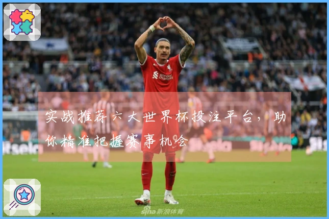 实战推荐六大世界杯投注平台，助你精准把握赛事机会