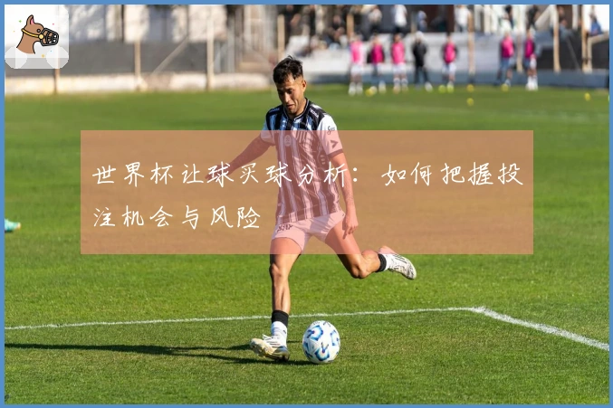 世界杯让球买球分析：如何把握投注机会与风险