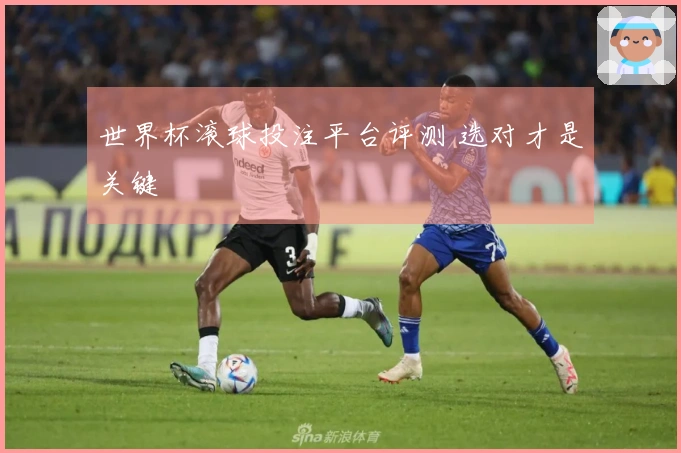 世界杯滚球投注平台评测 选对才是关键
