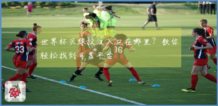 世界杯买球投注入口在哪里？教你轻松找到可靠平台