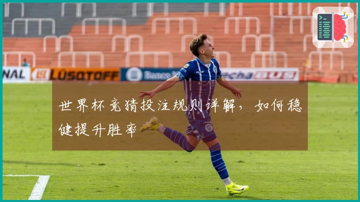 世界杯竞猜投注规则详解，如何稳健提升胜率