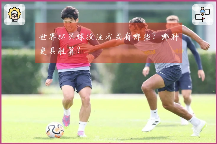 世界杯买球投注方式有哪些？哪种更具胜算？