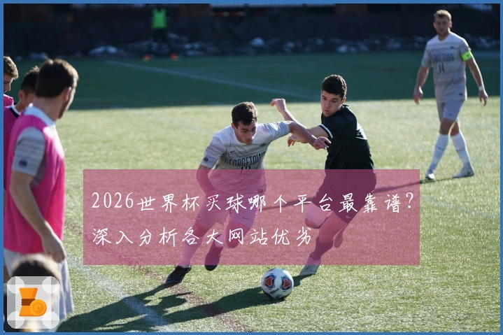 2026世界杯买球哪个平台最靠谱？深入分析各大网站优劣
