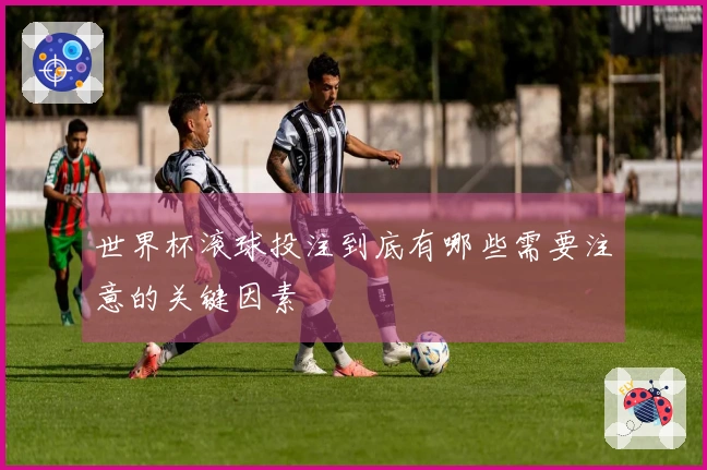 世界杯滚球投注到底有哪些需要注意的关键因素